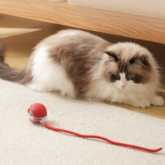 Pets Prime © Interactive Ball Toy